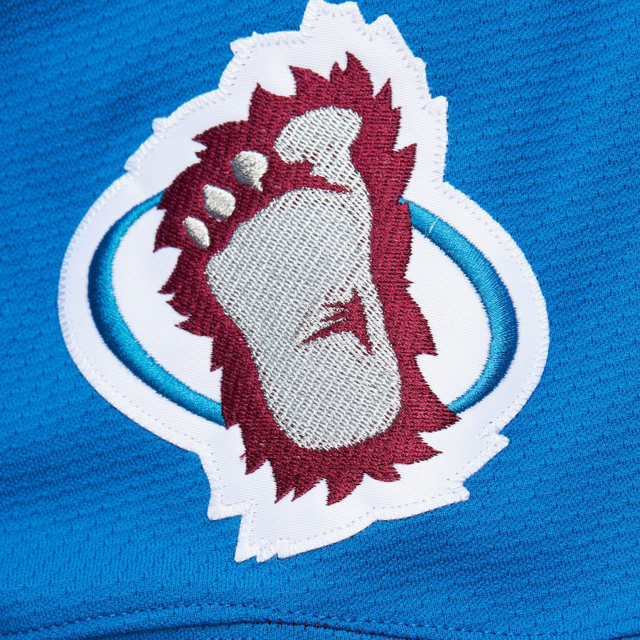 Colorado Avalanche 1995 Peter Forsberg Mitchell&Ness NHL Blue Line Vintage Hockey Jersey
