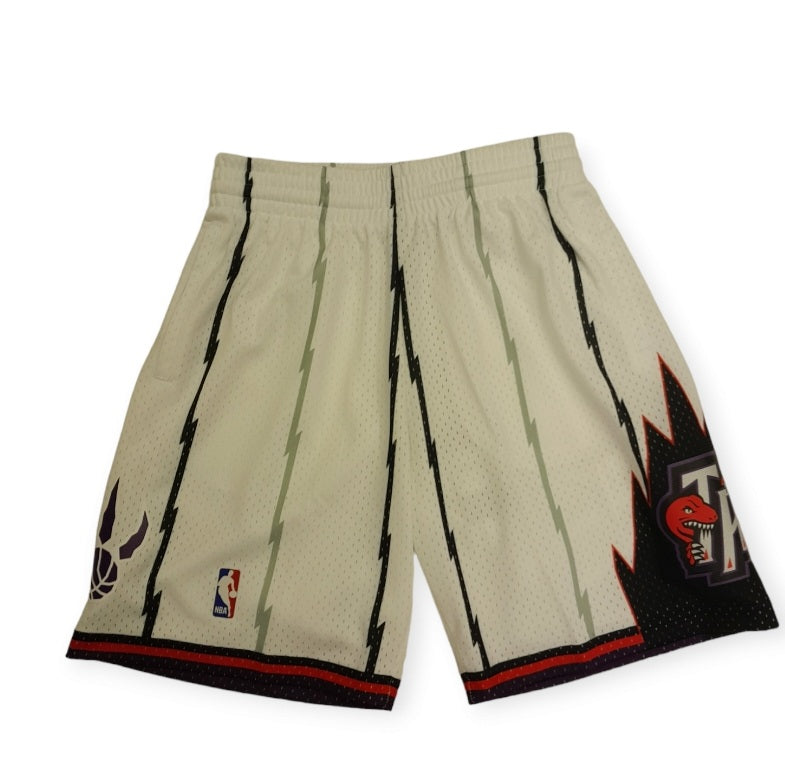 Toronto Raptors Mitchell&Ness HWC Swingman Shorts