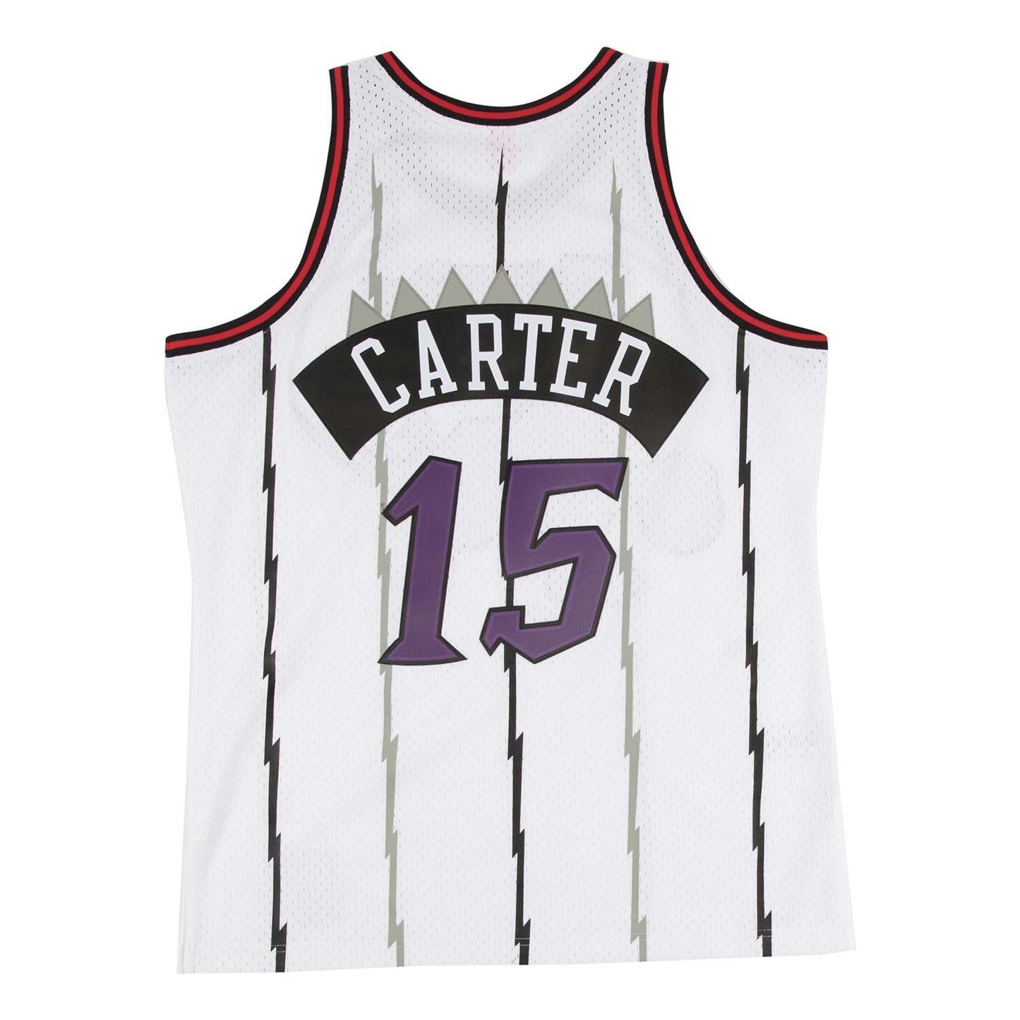 Toronto Raptors Vince Carter Mitchell&Ness HWC Swingman 2.0 Jersey