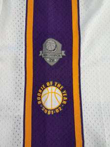 Los Angeles Lakers Pau Gasol Mitchell&Ness HWC Hall of Fame Swingman Jersey