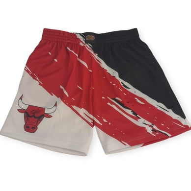 Chicago Bulls Mitchell&Ness NBA Paint Brush Sublimated Mesh Shorts