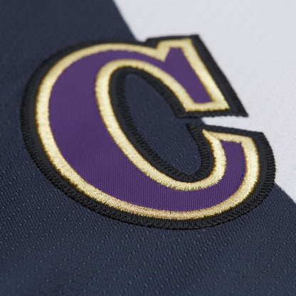 Los Angeles Kings Wayne Gretzky White 1995-96 Power Play Jersey - Mitchell & Ness