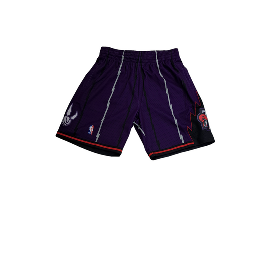 Toronto Raptors  Swingman Shorts Mitchell & Ness