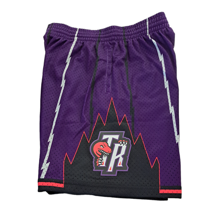 Toronto Raptors  Swingman Shorts Mitchell & Ness