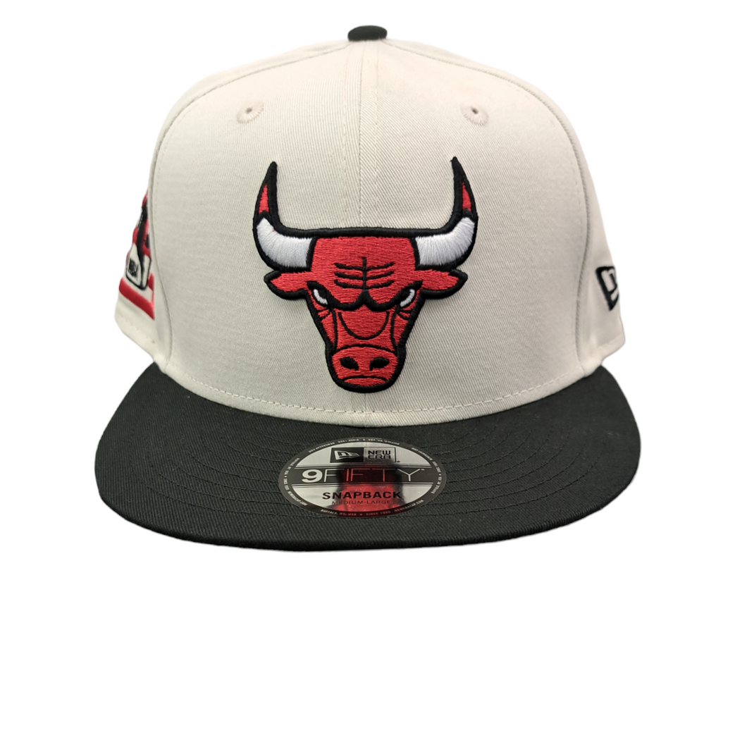 Chicago Bulls NBA Logo 9FIFTY Snapback