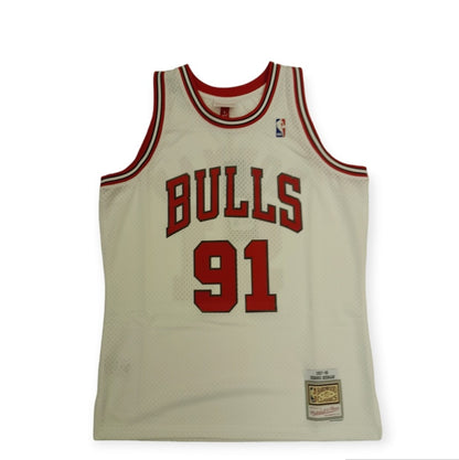 Chicago Bulls Dennis Rodman Mitchell&Ness HWC Swingman Jersey