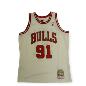 Chicago Bulls Dennis Rodman Mitchell&Ness HWC Swingman Jersey
