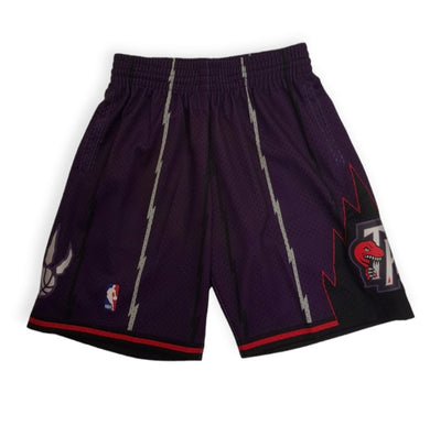 Toronto Raptors Mitchell&Ness HWC Swingman Shorts