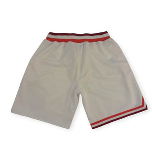 Miami Heat Mitchell&Ness HWC Authentic Shorts