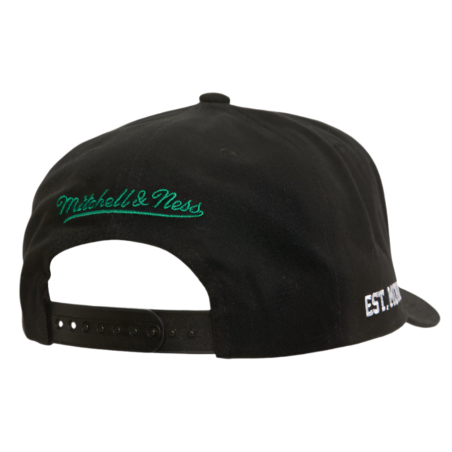 Anaheim Ducks Vintage Big Time Pro Snapback Hat Mitchell & Ness