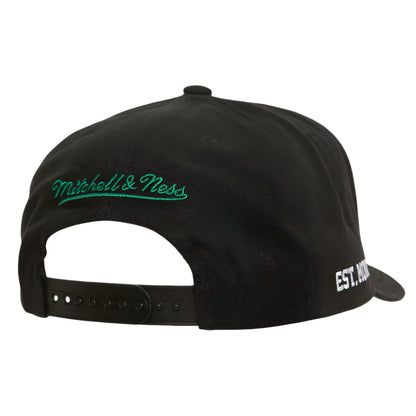 Anaheim Ducks Vintage Big Time Pro Snapback Hat Mitchell & Ness