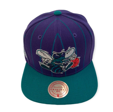 Charlotte Hornets Mitchell&Ness NBA Team Pin Snapback