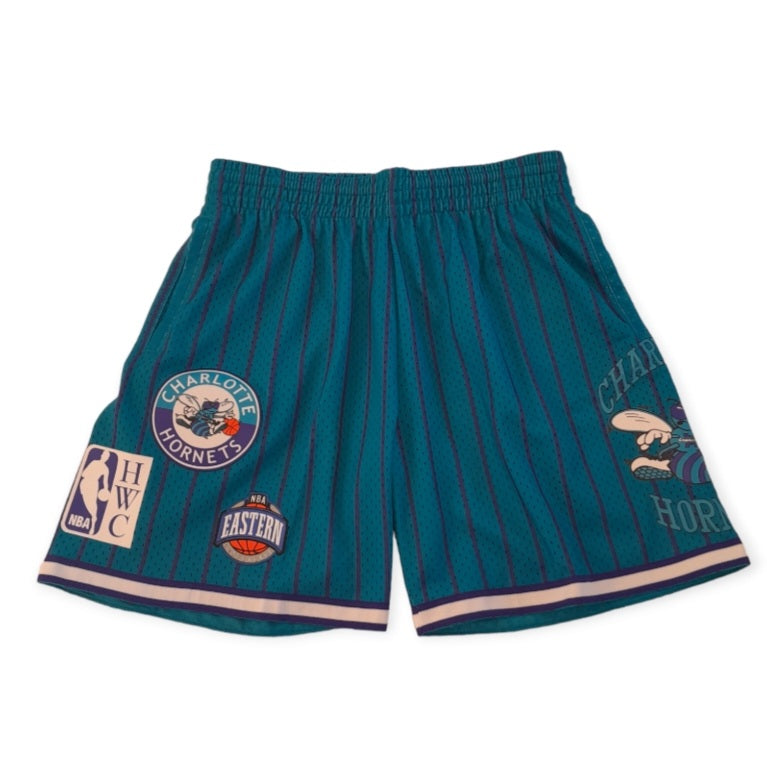 Charlotte Hornets Mitchell&Ness NBA City Collection Shorts